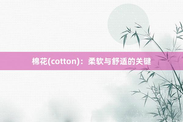 棉花(cotton)：柔软与舒适的关键